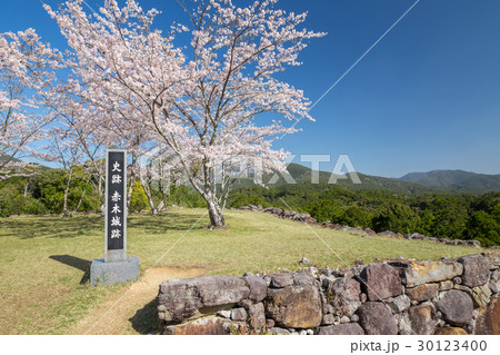 春の赤木城跡 春の赤木城跡 30123400