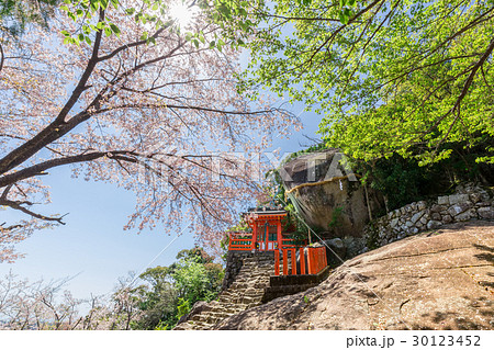 春の神倉神社 30123452