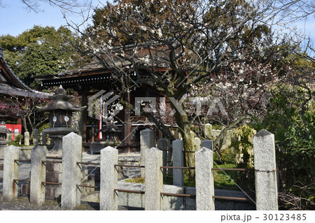 芹川天満宮 30123485