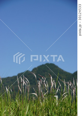チガヤと虚空蔵山と大峰山 30124533
