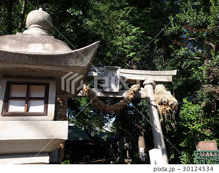 奥澤神社 30124534