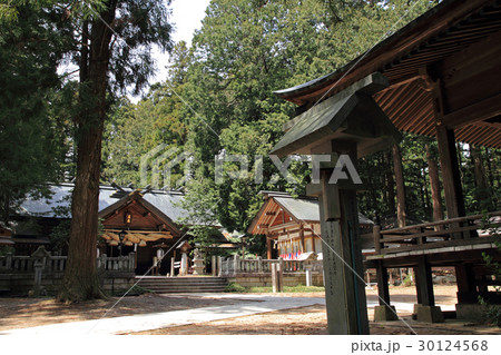 長野県松本市　大宮熱田神社 30124568