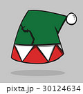Santa hat, vector illustration. 30124634