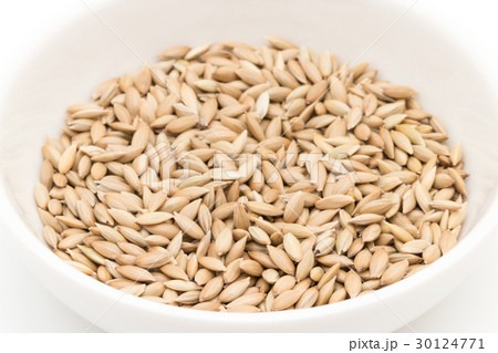 カナリーシード: Canary seed 30124771