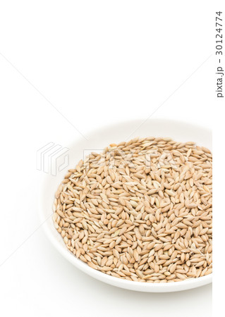 カナリーシード: Canary seed 30124774