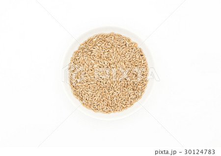 カナリーシード: Canary seed 30124783