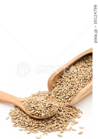 カナリーシード: Canary seed 30124799
