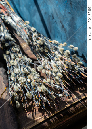 willow twigs 30125894