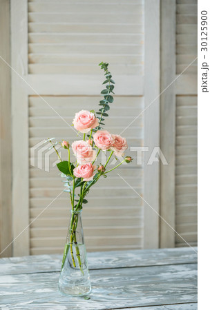 pink roses in the vase 30125900