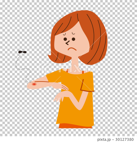 昆蟲叮咬 昆蟲叮咬 30127380