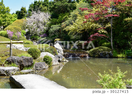 京都　妙心寺　退蔵院庭園 30127415