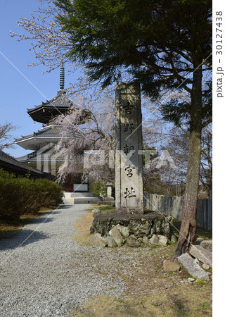 吉野朝宮跡　妙法殿八角三重塔 30127438