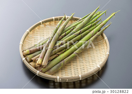 ネマガリダケ 30128822