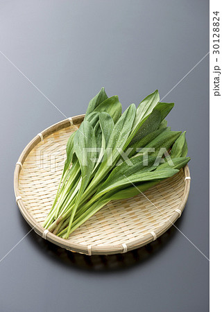 ギョウジャニンニク 30128824