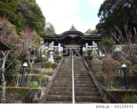 大仁神社 大仁神社 30129141