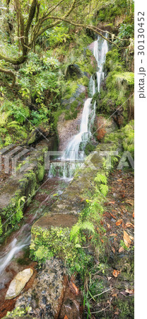 Amazing Madeira waterfall landscape 30130452