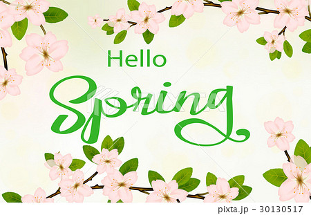 hello spring background with cherry blossoms 30130517