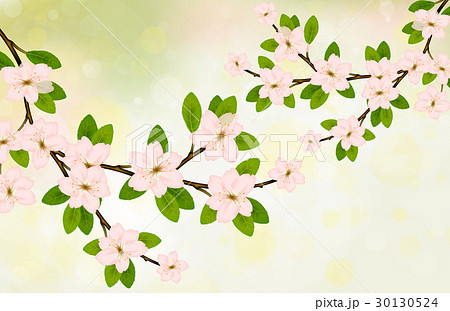 Blooming branch with pink spring blossom. Blooming branch with pink spring blossom. 30130524