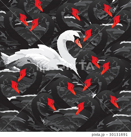 white swan in black family white swan in black family 30131691