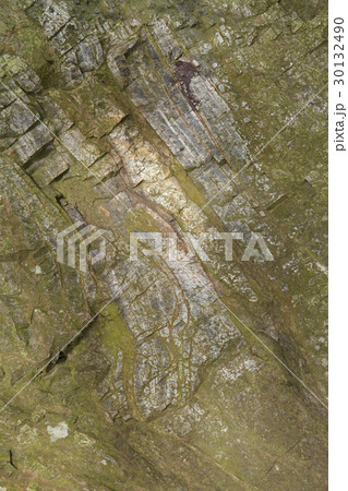 チャートの露頭 30132490