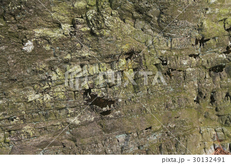 チャートの露頭 30132491