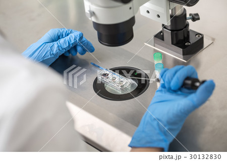 Checking result of in vitro fertilization 30132830