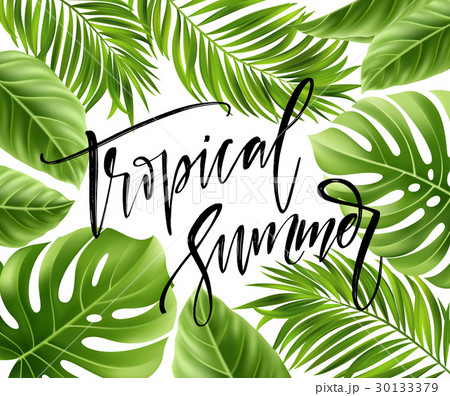 Summer poster with tropical palm leaf and 30133379