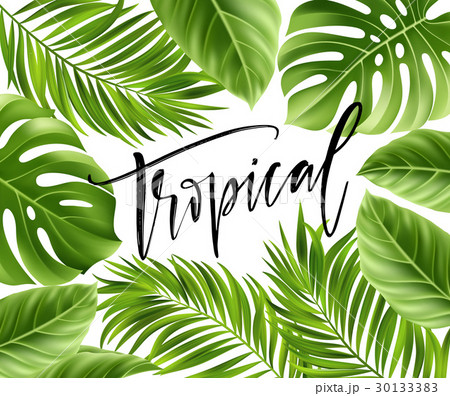 Summer poster with tropical palm leaf and 30133383