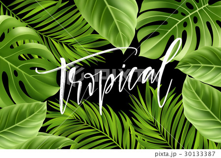 Summer poster with tropical palm leaf and 30133387