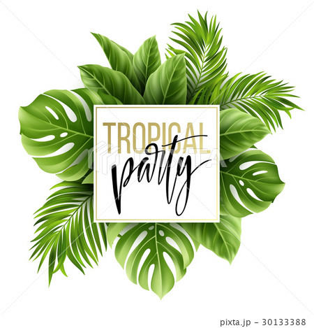 Summer tropical leaf background with exotic palm 30133388