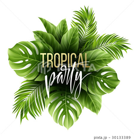 Summer tropical leaf background with exotic palm 30133389