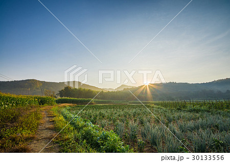 In nature Hill. Morning landscape with sunlight,  30133556