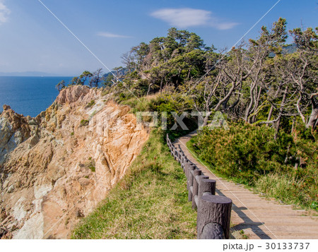 世界ジオパーク西伊豆黄金崎の風景 世界ジオパーク西伊豆黄金崎の風景 30133737