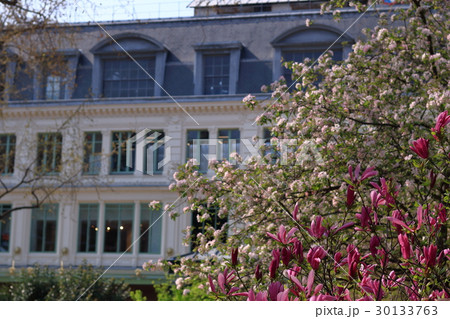 花のある風景 in フランス・パリ 花のある風景 in フランス・パリ 30133763