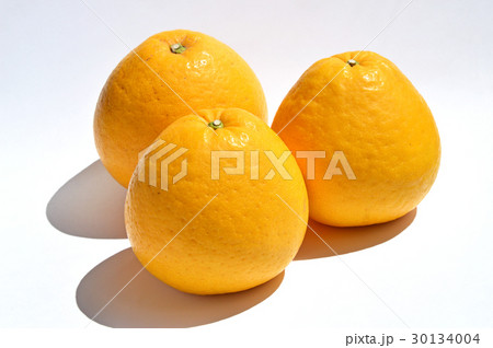 宇和ゴールド 30134004