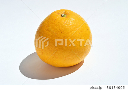 宇和ゴールド 宇和ゴールド 30134006