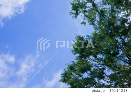 緑と空 凡用素材 緑と空 凡用素材 30134013