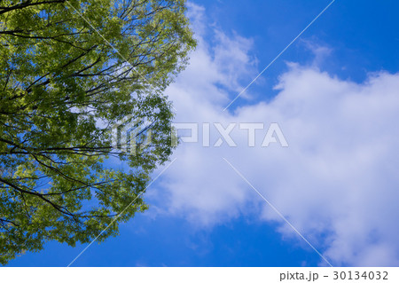 緑と空 凡用素材 緑と空 凡用素材 30134032