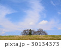 土手越しに見える木 30134373