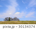土手越しに見える木 30134374