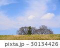 土手越しに見える木 30134426