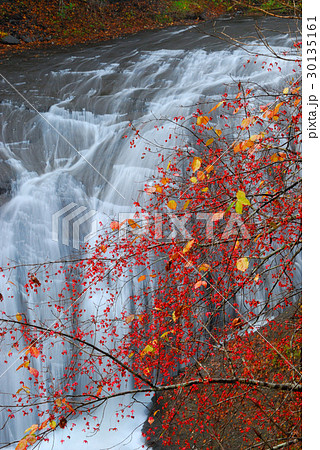 紅葉瀑布 30135161
