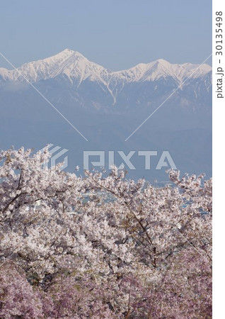 信州　松本の名所　弘法山古墳から眺める　北アルプスの常念岳　３世紀築造の古墳は今は桜の名所 30135498