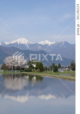 信州　安曇野　北アルプス常念岳と田園風景　ピラミッド型の端正な山容は安曇野のシンボル 30136224
