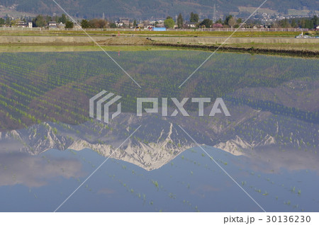 信州　安曇野　水田に映る北アルプス常念岳　ピラミッド型の端正な山容は安曇野のシンボル 30136230