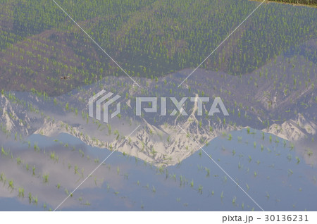 信州 安曇野 水田に映る北アルプス常念岳 ピラミッド型の端正な山容は安曇野のシンボル 信州 安曇野 水田に映る北アルプス常念岳 ピラミッド型の端正な山容は安曇野のシンボル 30136231