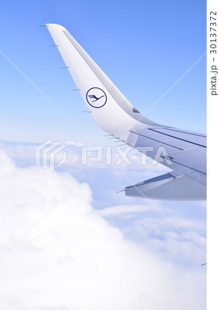 機内からの青空 機内からの青空 30137372