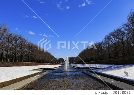 雪景色の昭和記念公園の噴水 雪景色の昭和記念公園の噴水 30138081