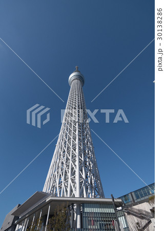 東京スカイツリー　青空バック  30138286