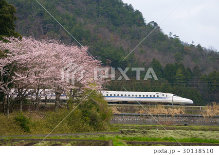近江路の桜と東海道新幹線 近江路の桜と東海道新幹線 30138510